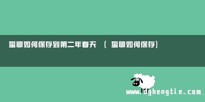 蚕卵如何保存到第二年春天 (蚕卵如何保存)